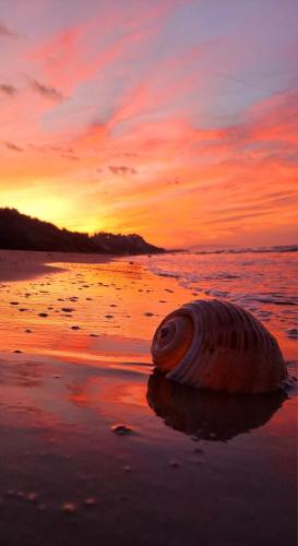 a shell on the beach with a sunset in the background at Les Petites Maisons in Rodi Garganico