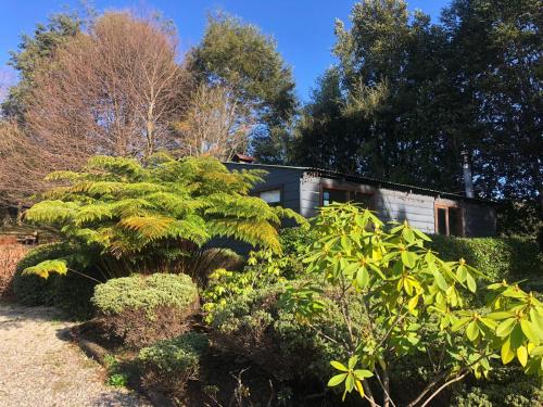 a house surrounded by trees and bushes at Lofts Magnolias in Puerto Varas