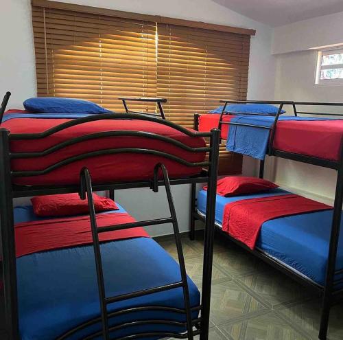 Φωτογραφία από το άλμπουμ του Flamingo city, chichiriviche morrocoy σε El Cruce