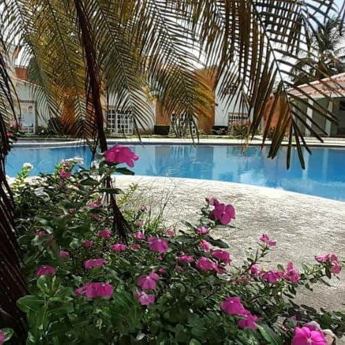 Πισίνα στο ή κοντά στο Flamingo city, chichiriviche morrocoy