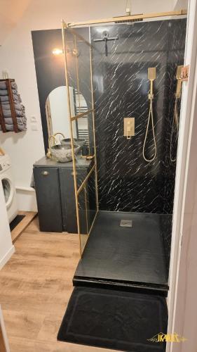La salle de bains est pourvue d'une douche avec un mur noir. dans l'établissement Bel appartement proche Annecy Aix-les-bains Genève, à Seyssel