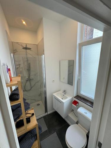 a bathroom with a toilet and a sink and a shower at Coeur de bruxelles in Brussels