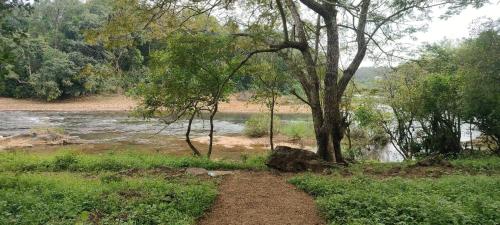 a path next to a river with a tree at Makam Holiday Home in Iritti