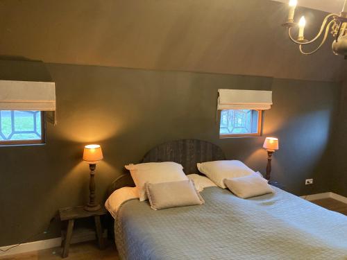 a bedroom with a bed with two pillows and two windows at De kop van Drenthe voorhuis in Vries