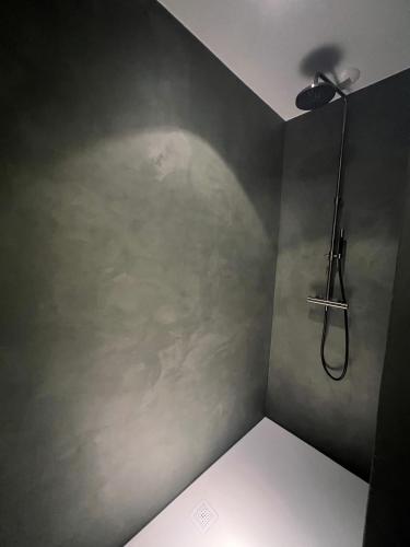 a shower in a bathroom with a gray wall at Landgoed Palingbeek in Ypres