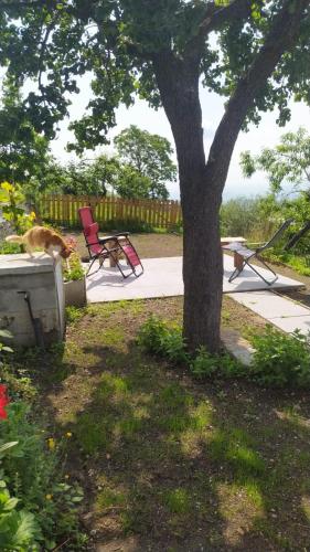 Zahrada ubytování Borgo del Sole