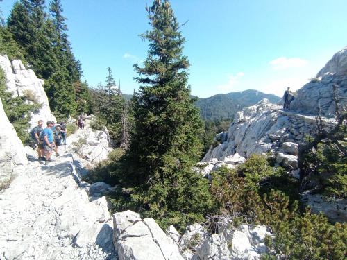 a tree on the side of a rocky mountain at Kuća za odmor Dangubica in Kuterevo