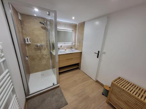 a bathroom with a shower and a sink at Mon Nid'éal de Bien-être in Saint-Forgeux