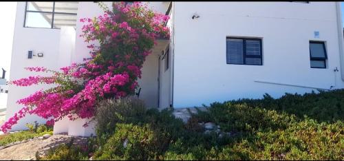 a bush with pink flowers next to a white building at View on the Bay 7 Pinta Crescent in St Helena Bay
