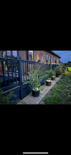Pablos Place photo 28