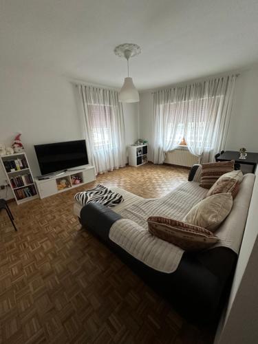 TV a/nebo společenská místnost v ubytování Villa Serena B&B Seren del Grappa