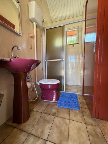 uma casa de banho com um lavatório roxo e um WC em Suíte Rústica em Florianópolis