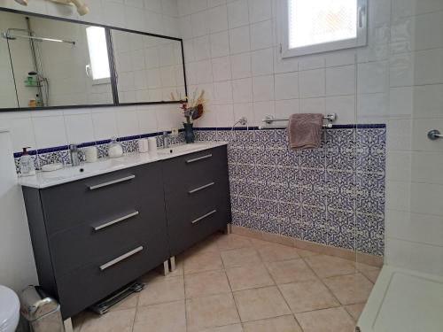 une salle de bain avec un lavabo et un miroir dans l'établissement Maison en Provence verte classée 3 étoiles, à Camps-la-Source