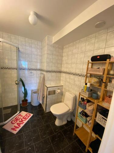a bathroom with a toilet and a shower at Sentral og koselig leilighet in Haugesund