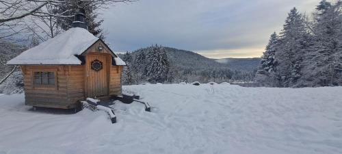 Une petite maison d'oiseaux en bois dans la neige dans l'établissement LE CHALET VOSGIEN bain nordique Kota Grill, à Gérardmer