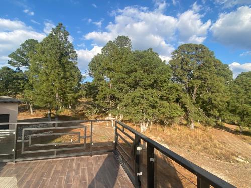 Příroda nedaleko chaty