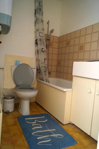 La salle de bains est pourvue de toilettes, d'une douche et d'un tapis. dans l'établissement Charmant Appartement à St Aygulf, à Fréjus
