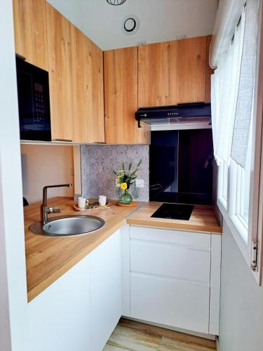 une cuisine avec un évier et un plan de travail dans l'établissement Studio, aire de loisirs avec piscine, à Marigny