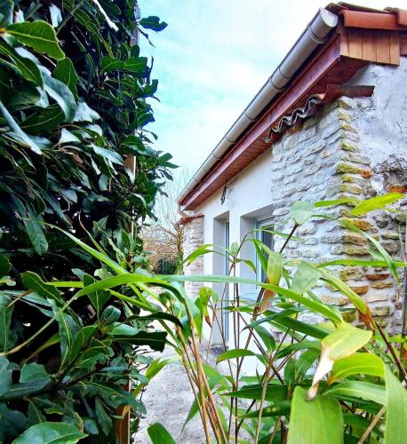 Studio, aire de loisirs avec piscine