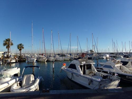 a bunch of boats docked in a harbor at HoteI de la Plage Montpellier Sud in Palavas-les-Flots