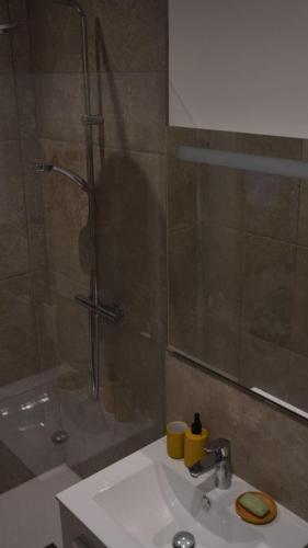 une salle de bain avec un lavabo et une douche dans l'établissement Old Town Annecy, à Annecy