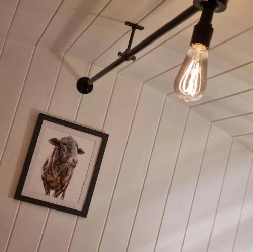 Fotografie z fotogalerie ubytování Tolverne Luxury Shepherd's Hut v destinaci Holsworthy