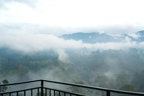 Un paisaje natural cerca de la casa de huéspedes