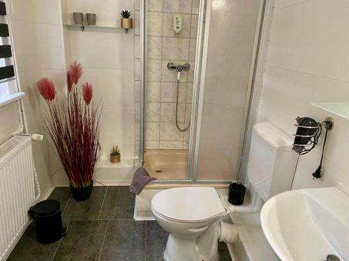 a bathroom with a shower and a toilet and a sink at Altstadt-Hotel Gosequell in Goslar