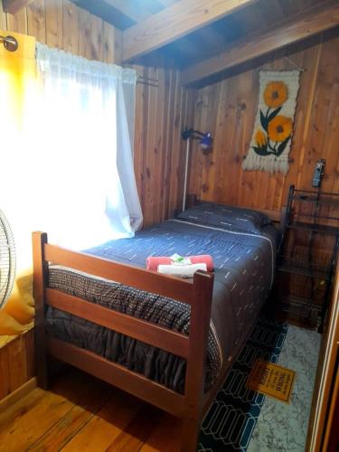 a small bed in a wooden room with a window at Hostal Newen in Villarrica