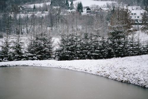a pond with snow on the ground and trees at La Lacuri in Sovata