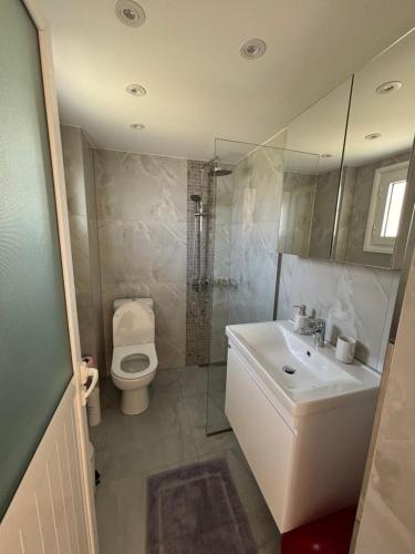 a bathroom with a sink and a toilet and a shower at Harmony Apartments in Dhërmi