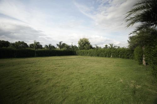 a large grass field with a palm tree in a field at Saavi Farms in Ibrāhīmpatan