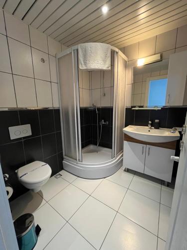 a bathroom with a shower and a toilet and a sink at Villasuit in Ankara