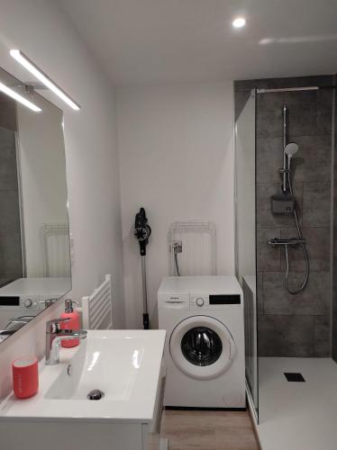 une salle de bain avec une machine à laver et un lavabo dans l'établissement La forge, à La Turballe