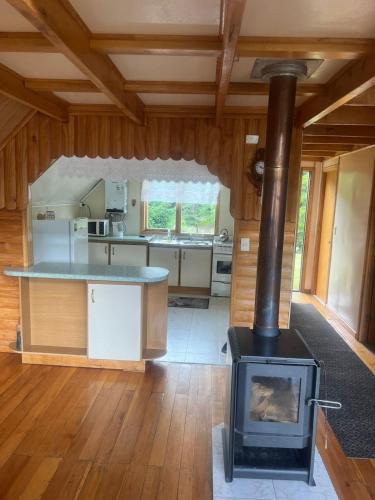a kitchen with a stove in the middle of a room at Cabaña La Vasca in Puerto Tranquilo