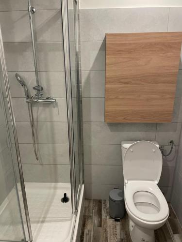 une petite salle de bain avec toilettes et douche dans l'établissement La suite Kora, à Tremblay-en-France