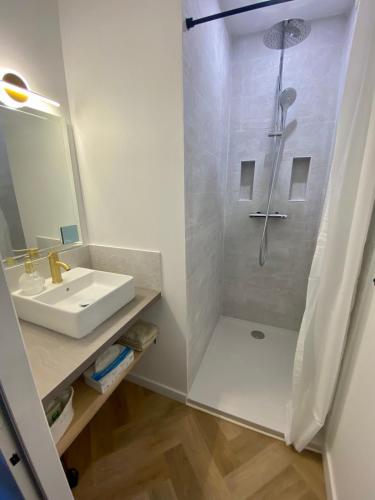 une salle de bain avec douche et lavabo dans l'établissement Appartement, tout confort, à Veigné