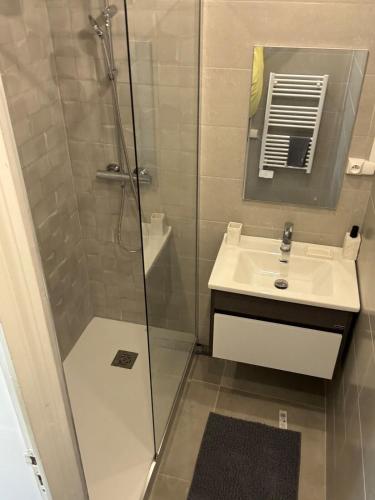 une salle de bain avec douche et lavabo dans l'établissement Cosy & Design, à Lyon