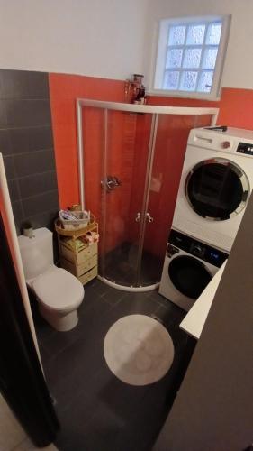 a bathroom with a toilet and a washing machine at Christi & Paris Nest in Volos