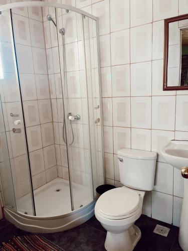 a bathroom with a shower and a toilet and a sink at Hostal El Fogón in San Vicente de Taguatagua