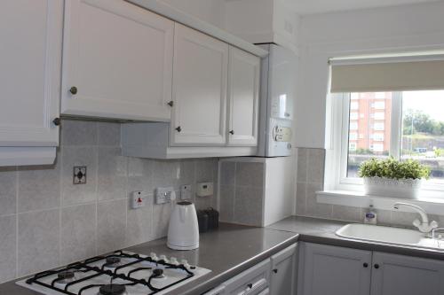 Kuchyň nebo kuchyňský kout v ubytování Riverside Apartment