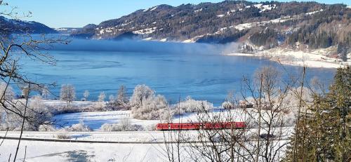 a red train traveling down tracks near a lake at Ferienhof Rindalphorn mit Sauna in ländlicher Idylle in Missen-Wilhams