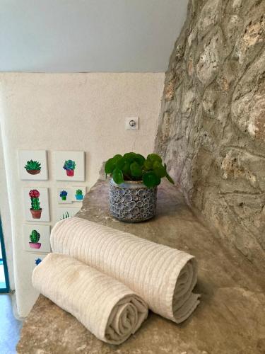 a room with two rolled towels and a potted plant at Blue Dream in Murvica