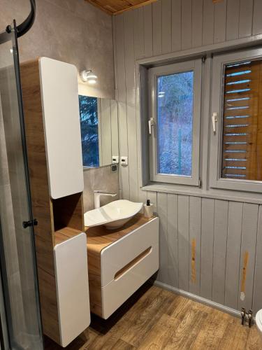 a bathroom with a sink and a mirror at Górski domek w Szczyrku in Szczyrk