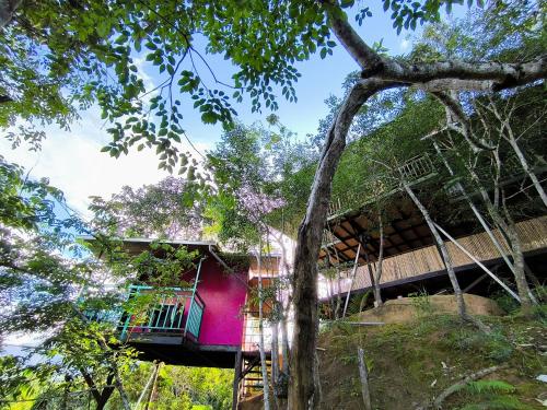 a tree house in the middle of the forest at Refugio Ecolodge Shapingo in Moyobamba