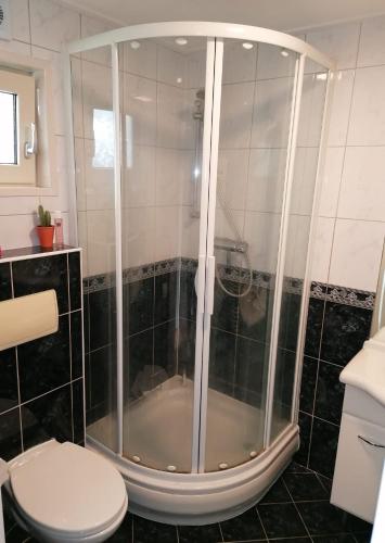 a shower in a bathroom with a toilet at Maison Louise in Sint Annaland