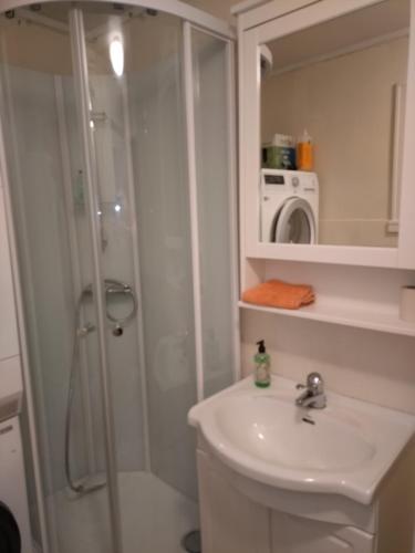a bathroom with a shower and a sink and a toilet at Cozy home with a fireplace, well connected to bus, quiet and view over the fjord in Trondheim
