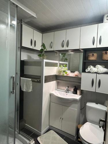 une salle de bain avec toilettes, lavabo et douche dans l'établissement Appartement le Beauséjour, à Arnouville-lès-Gonesse