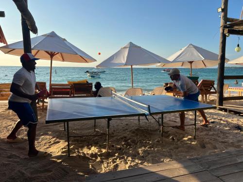 a group of people playing a table tennis on the beach at AcapulcoBeach in Playa Blanca