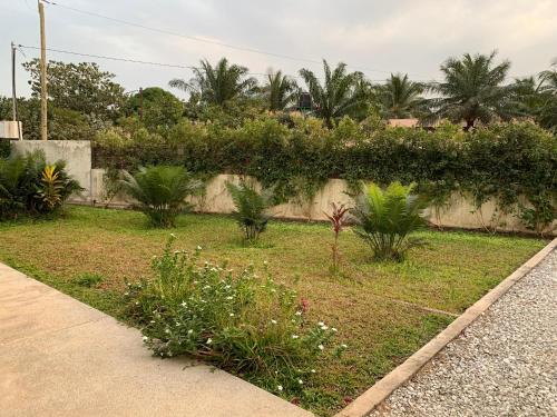 a garden with plants on the side of a sidewalk at Résidence Kanissa in Cap Skirring